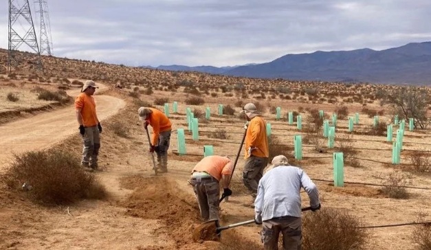 Proyecto TRIPAN - Movimiento de tierras y obras civiles en Panquehue